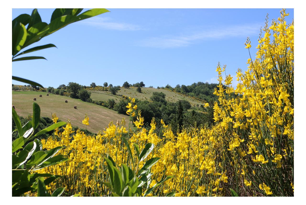 Le Querce Di Campolungo Bed and Breakfast San Giustino Εξωτερικό φωτογραφία